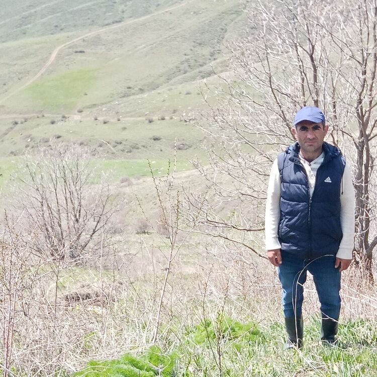 ���� 21022416 ������� �����, 41 ���, ���� ���������� � �������