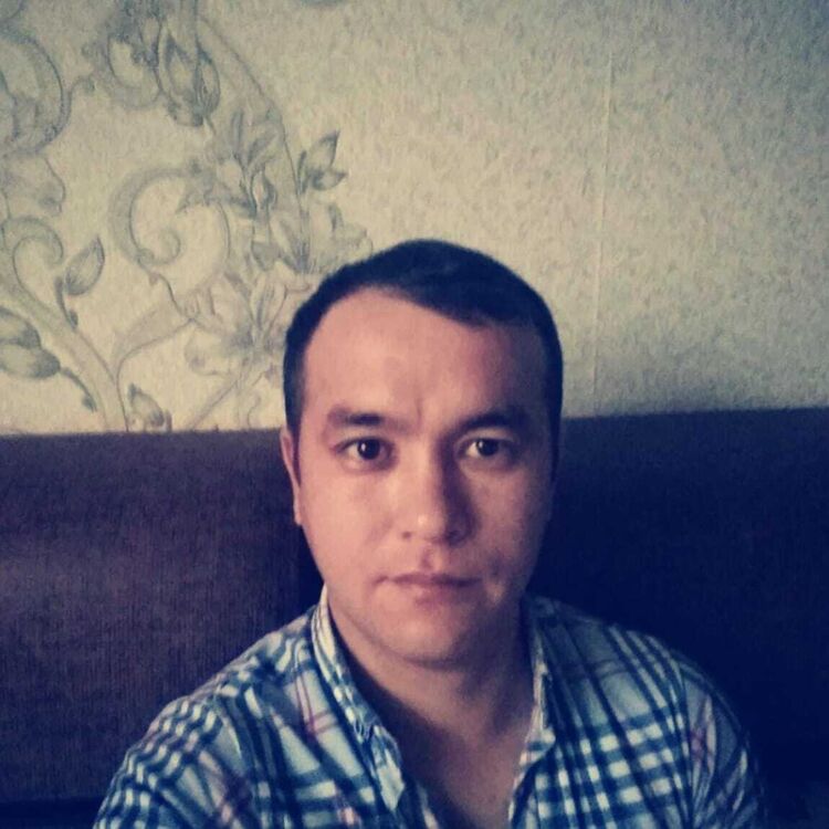  49845146  , 41 ,    