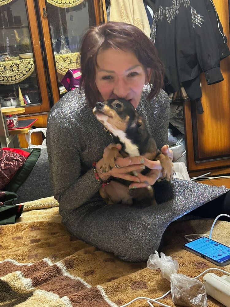  ,    , 38 ,   ,   , 