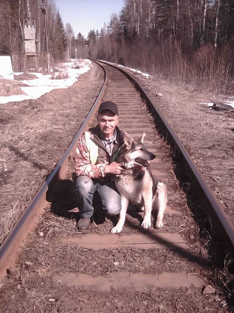 ���� 35578126 ������� ������, 51 ���, ���� ���������� � �����-����������