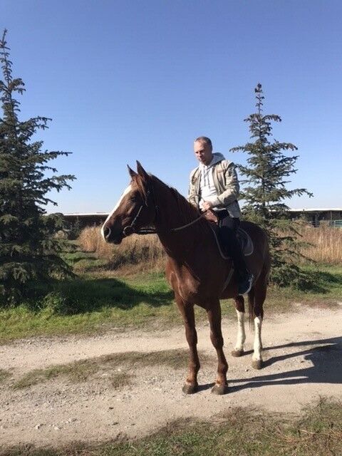 ���� 20814926 ������� ������, 44 ����, ���� ���������� � �����-����������