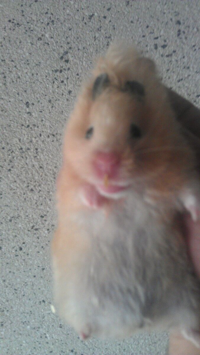 ���������� �������, ���� ������� Andrei, 38 ���, ������������ ��� ������, ����� � ���������, c�������� ���������