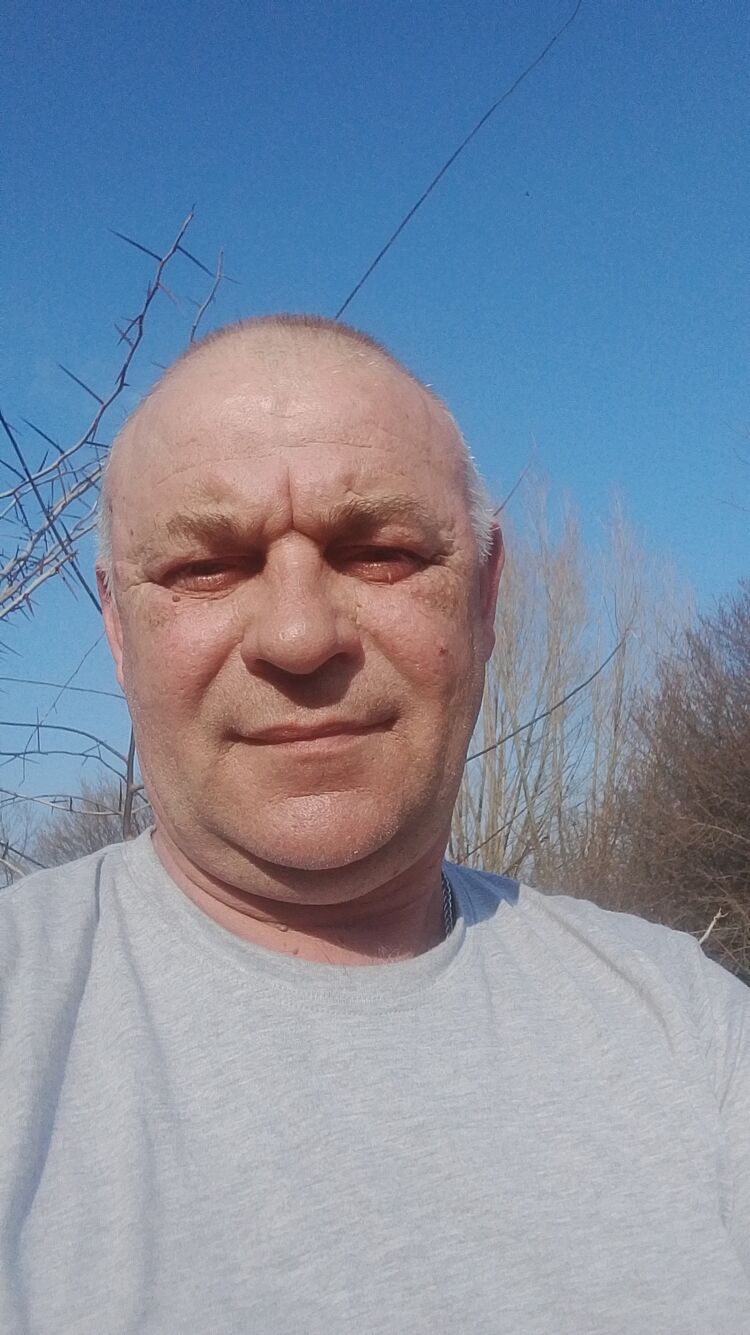 ���� 56239406 ������� ������, 51 ���, ���� ���������� � �����������