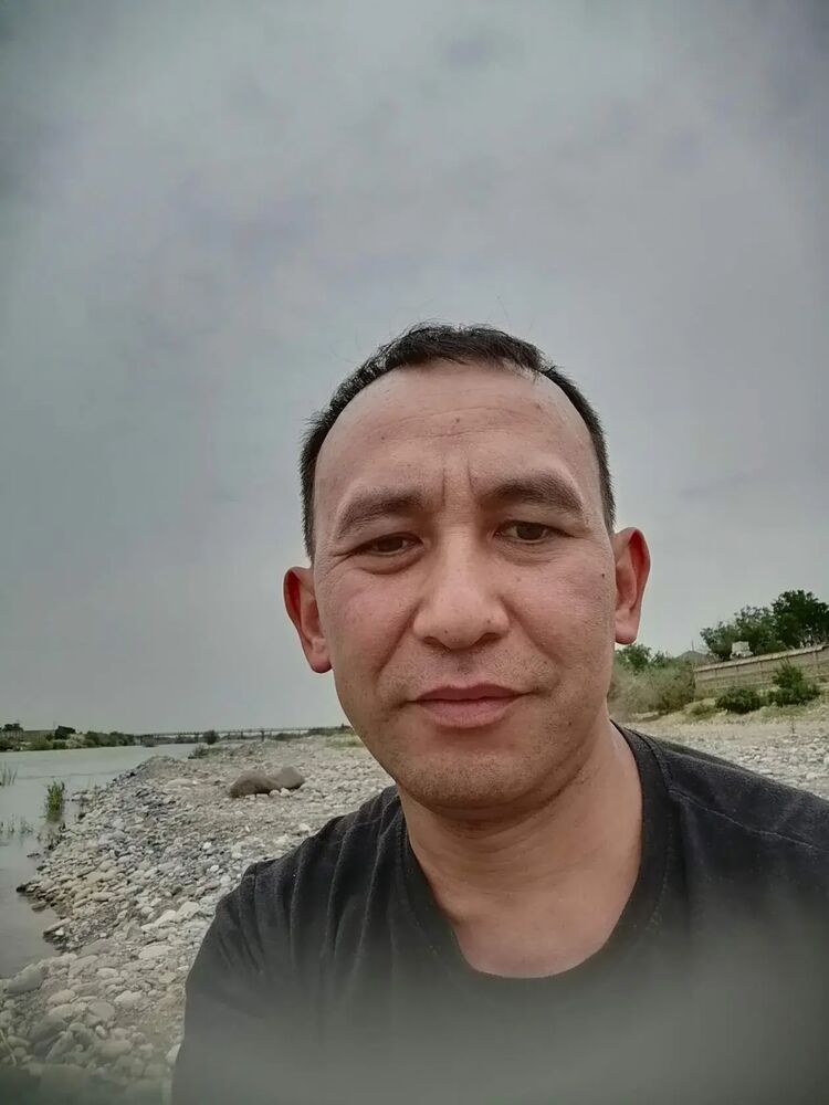  43986736  , 38 ,    