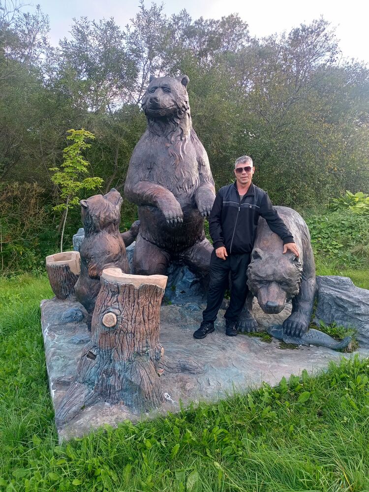  54395796  , 39 ,    -