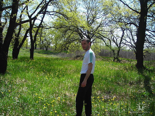 ���������� ���������, ���� ������� Dimok, 47 ���, ������������ ��� ������, ����� � ���������, c�������� ���������