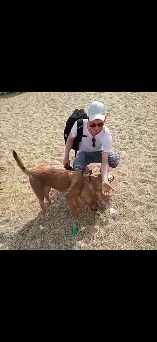 ���������� ������, ���� ������� �����, 35 ���, ������������ ��� ������, ����� � ���������