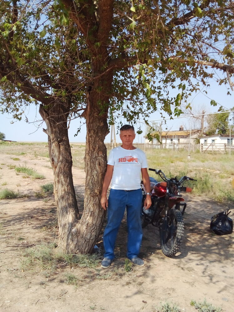 ���� 29112816 ������� �������, 50 ���, ���� ���������� � �������-��-����