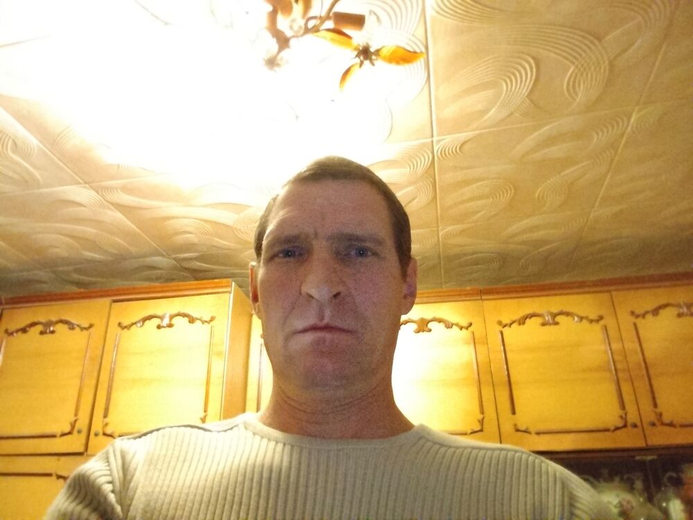  41933446  , 44 ,    