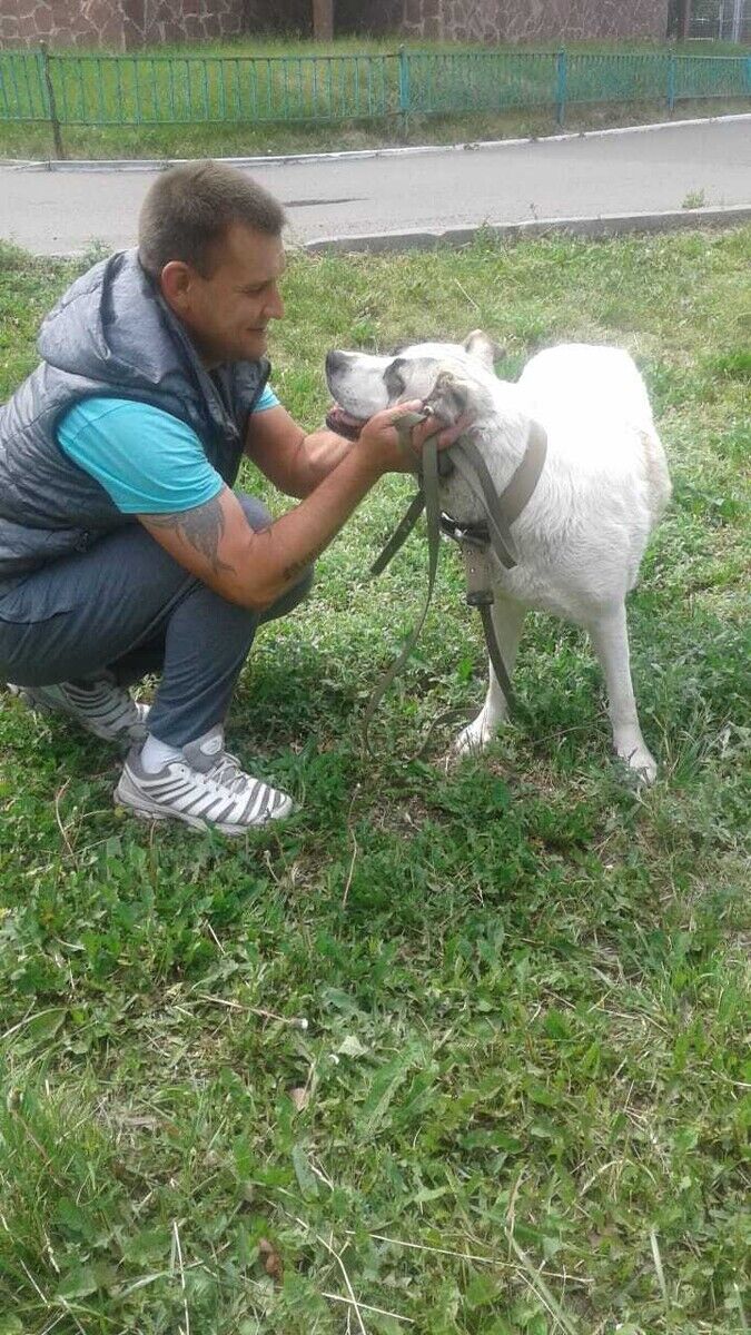 ���������� ������, ���� ������� ������, 38 ���, ������������ ��� ������, ����� � ���������, c�������� ���������