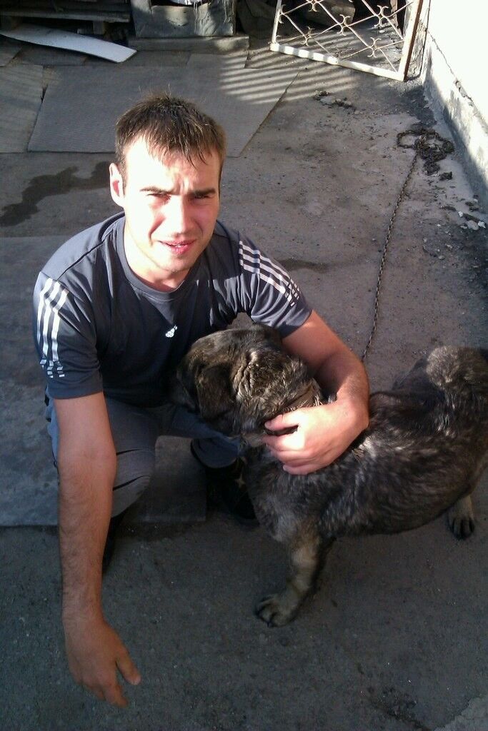 ���������� ���������, ���� ������� �������, 37 ���, ������������ ��� ������, ����� � ���������, c�������� ���������