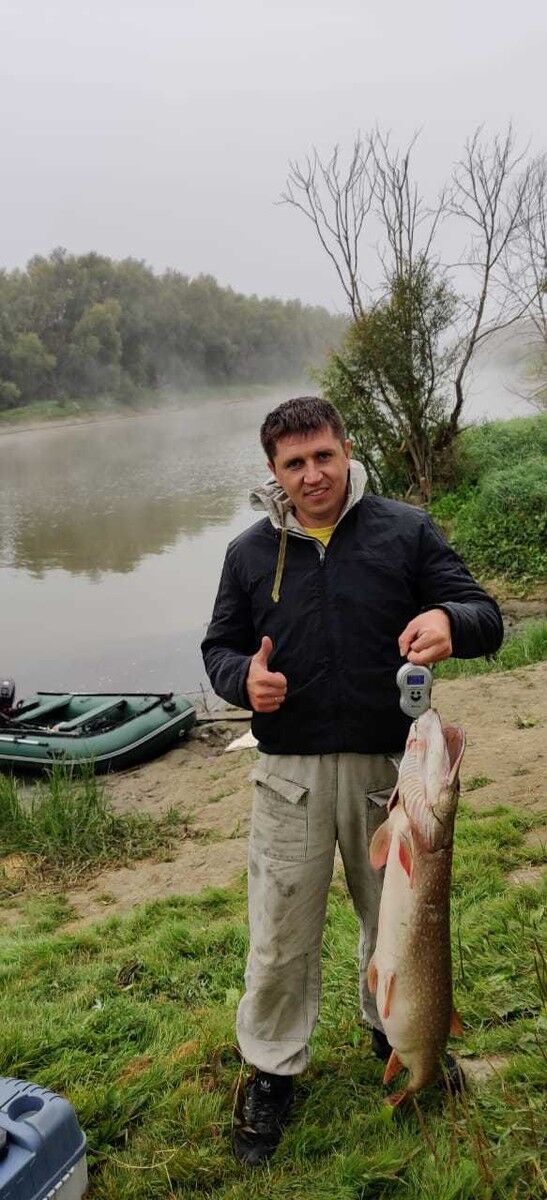 ���������� ����, ���� ������� ����, 52 ����, ������������ ��� ������, ����� � ���������, c�������� ���������