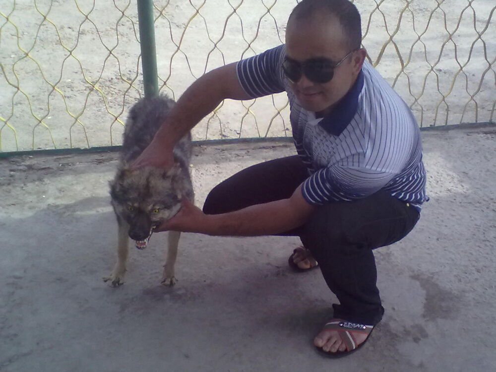 ���� 24292626 ������� Dima, 34 ����, ���� ���������� � ������