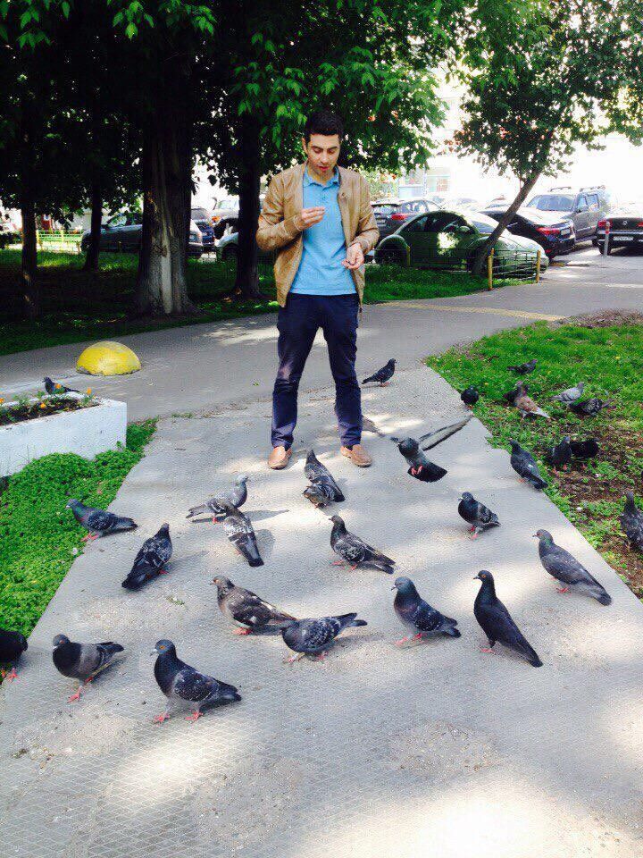 ���������� ������, ���� ������� �����, 31 ���, ������������ ��� ������, ����� � ���������, c�������� ���������