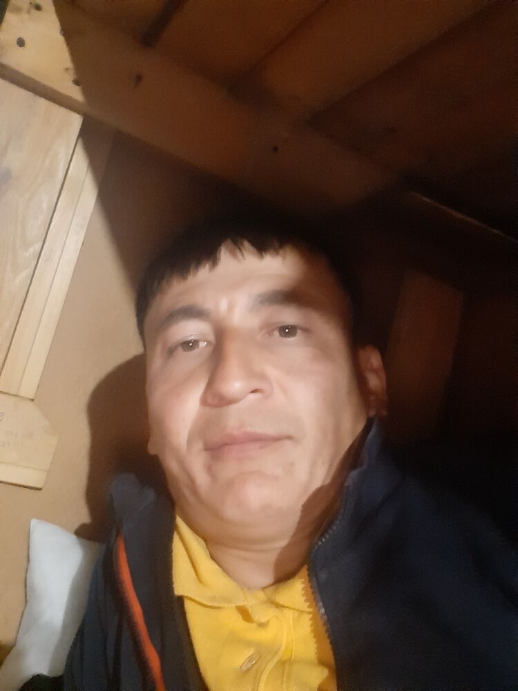 34453066  Boxodir, 32 ,    -