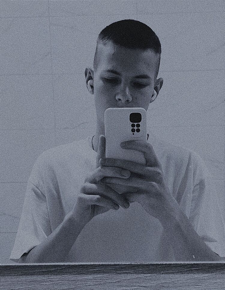  44305646  , 26 ,     