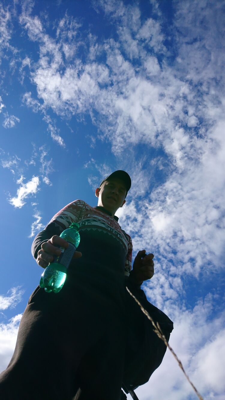  38345486  , 32 ,    -