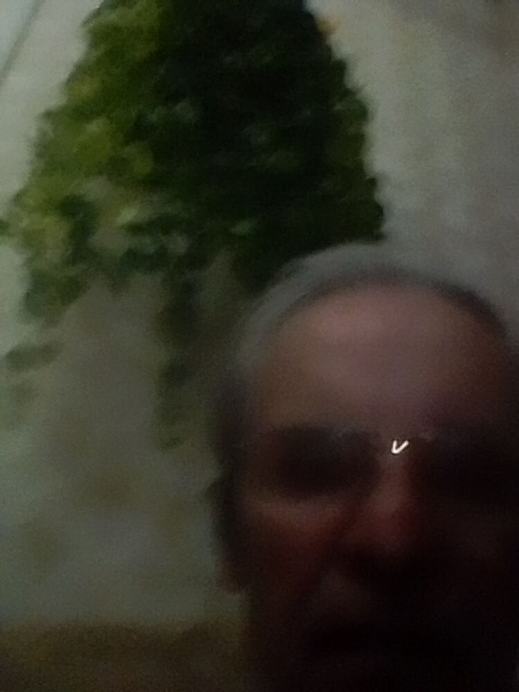  33885316  , 73 ,    --