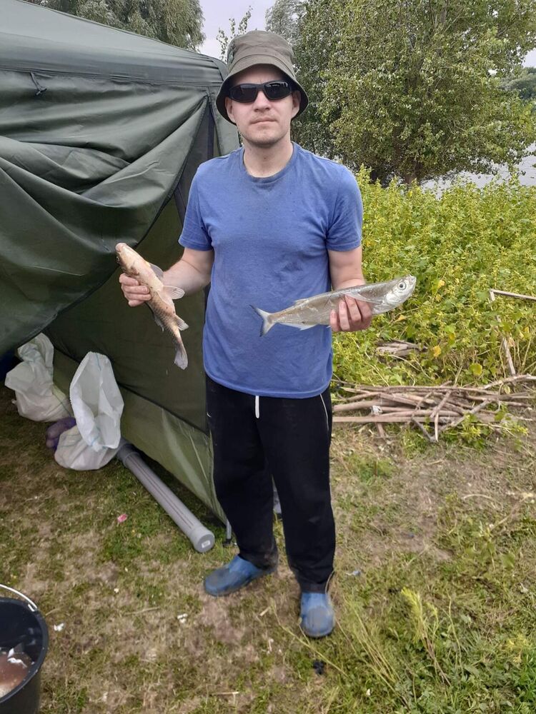 ���������� �����, ���� ������� �������, 38 ���, ������������ ��� ����� � ���������, c�������� ���������