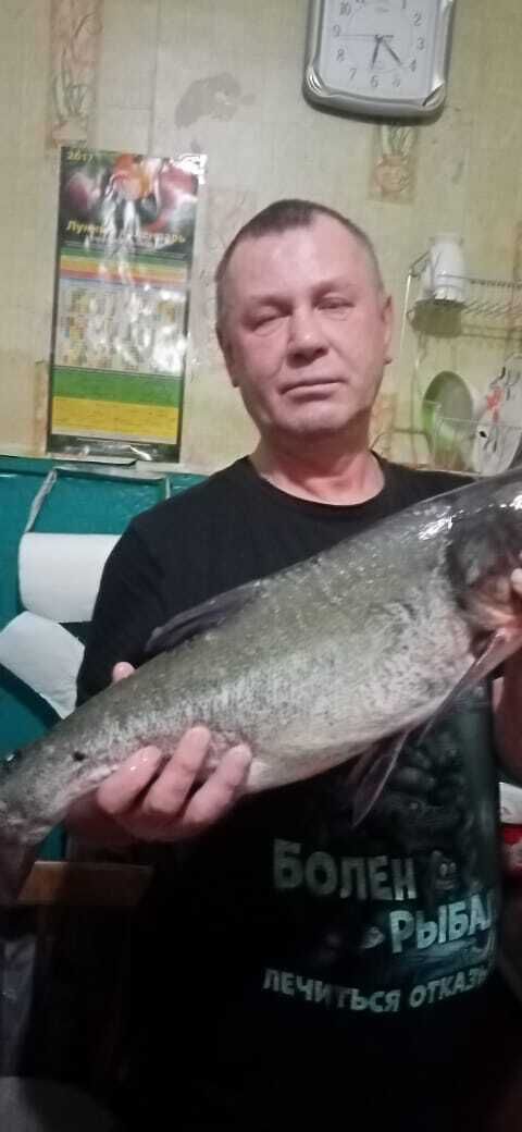  ,   , 60 ,     , c 