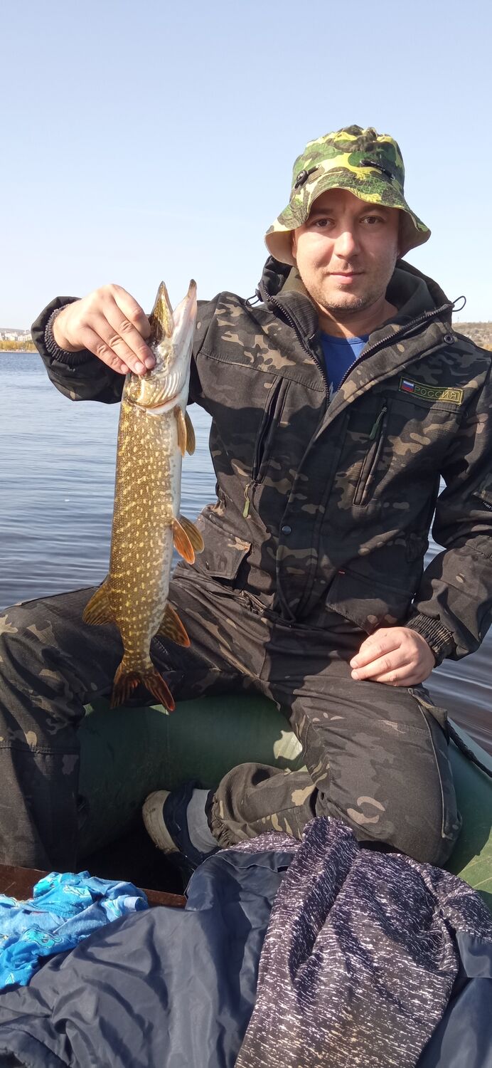 ���� 22782336 ������� ���������, 38 ���, ���� ���������� � ��������