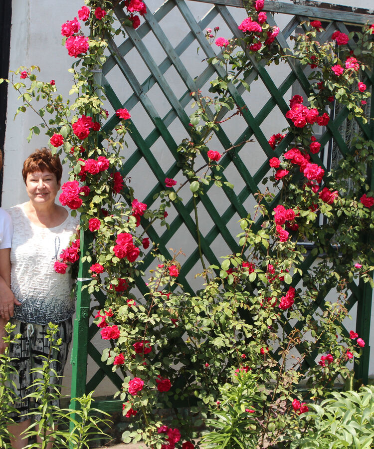 ���������� �����, ���� ������� ������, 68 ���, ������������ ��� ������, ����� � ���������, c�������� ���������, ���������