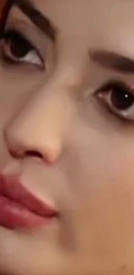 ���� 31235106 ������� ��������, 31 ���, ���� ���������� � ����������