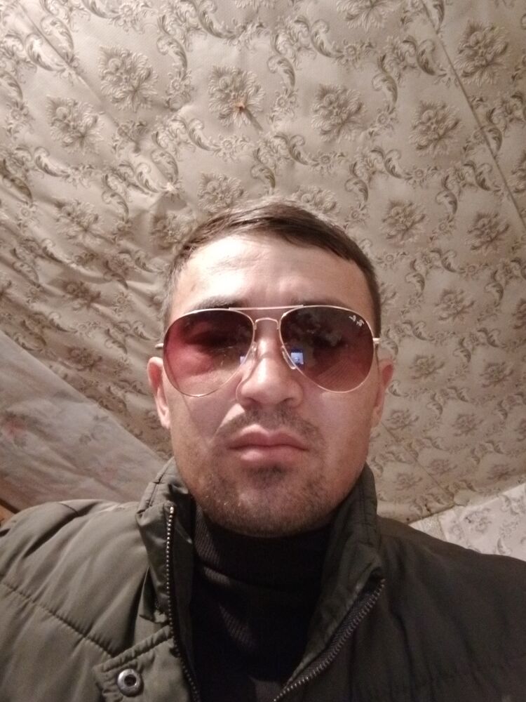  30657886  , 31 ,    -