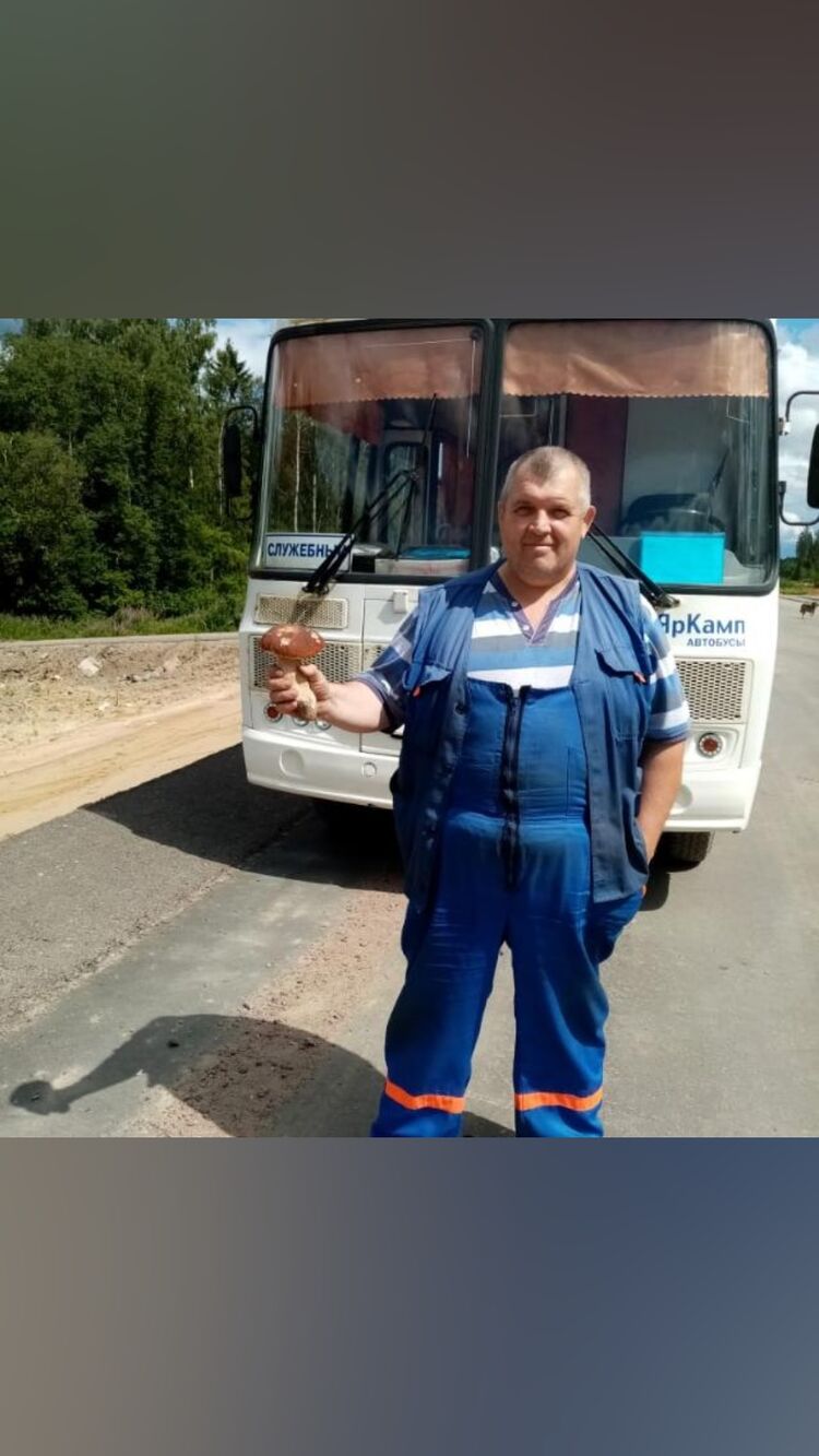  -,   , 53 ,   ,   