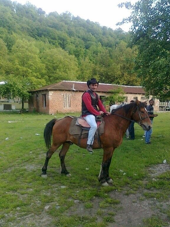 ,   Giorgi, 49 ,   ,   , c 