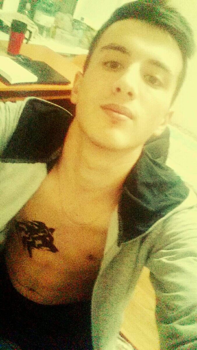  8737946  , 26 ,    