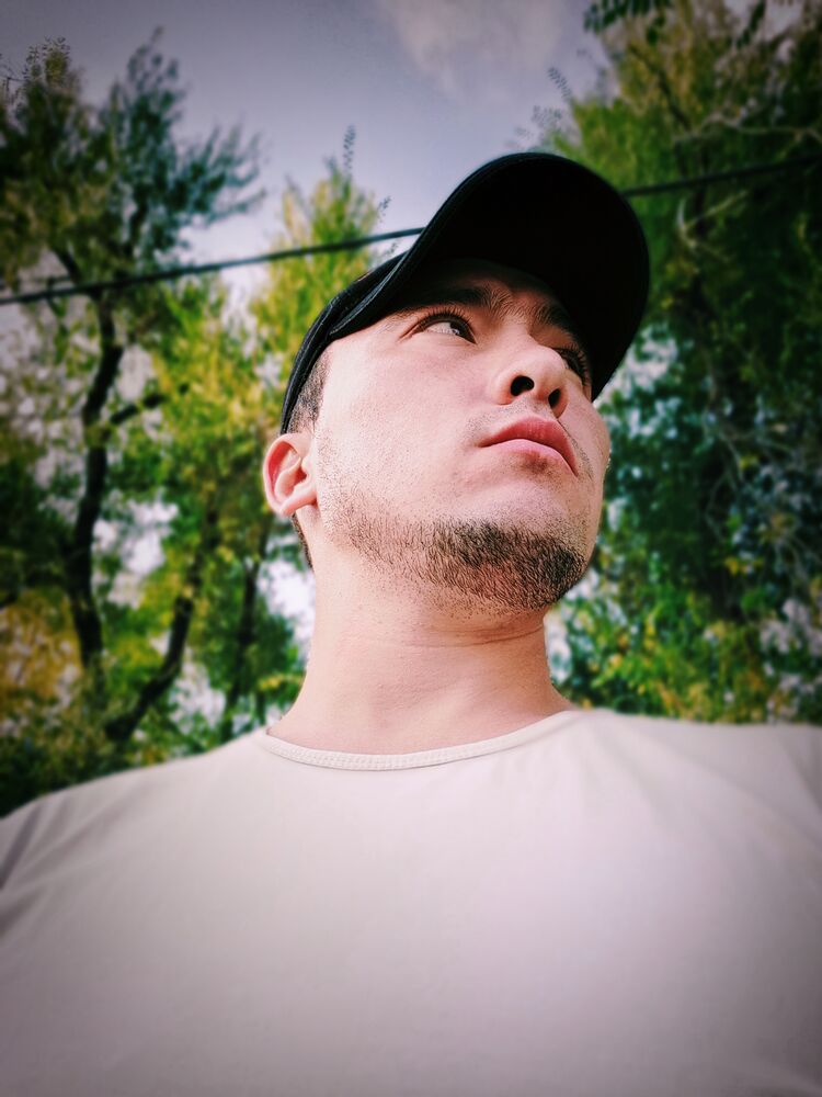  33079376  , 28 ,    