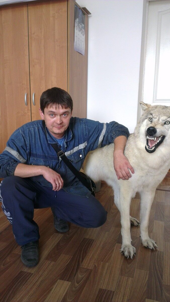 ���� 6804246 ������� �����, 44 ����, ���� ���������� � ���������