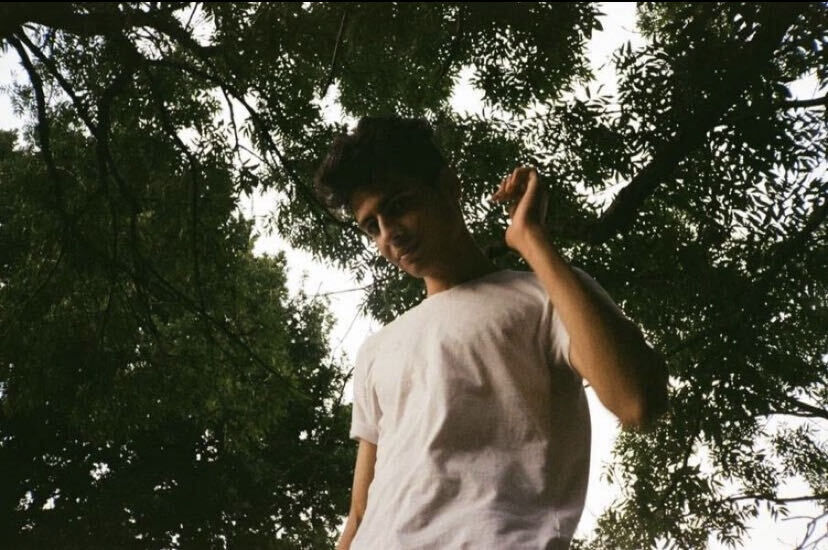 ���������� ������, ���� ����� ���������, 23 ����, ������������ ��� ����� � ���������, c�������� ���������