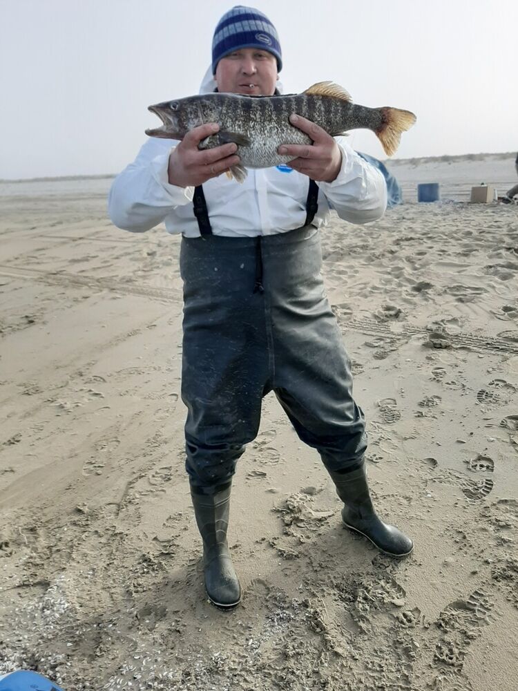  19925606  , 40 ,    