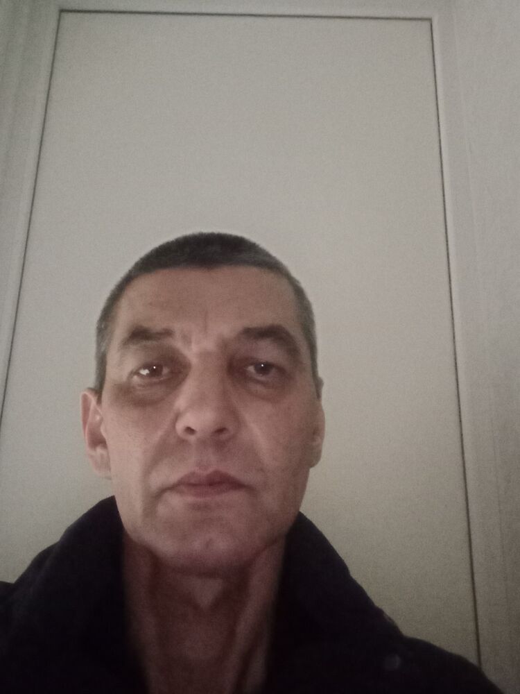  31728586  , 51 ,    