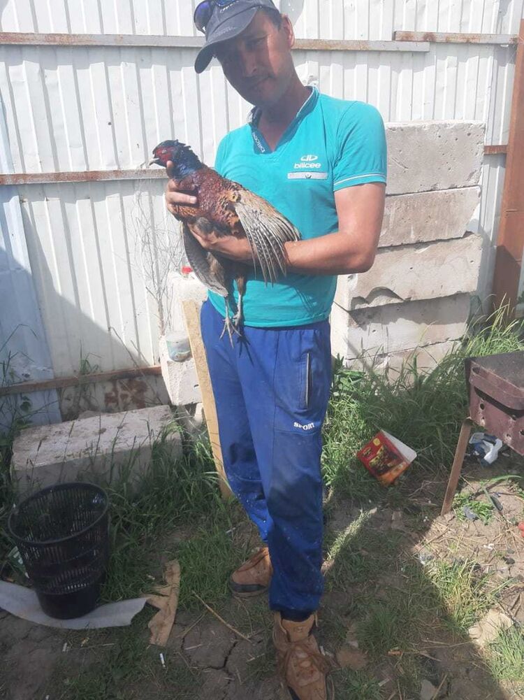  16049786  , 44 ,    