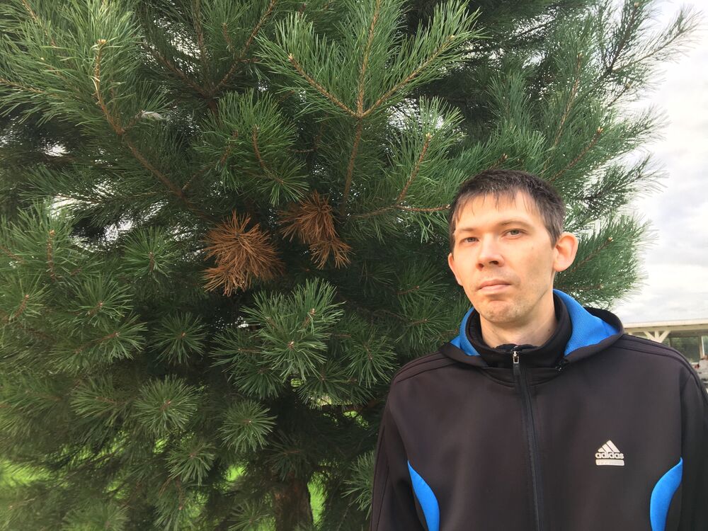 ���� 41368406 ������� �����, 36 ���, ���� ���������� � ������������