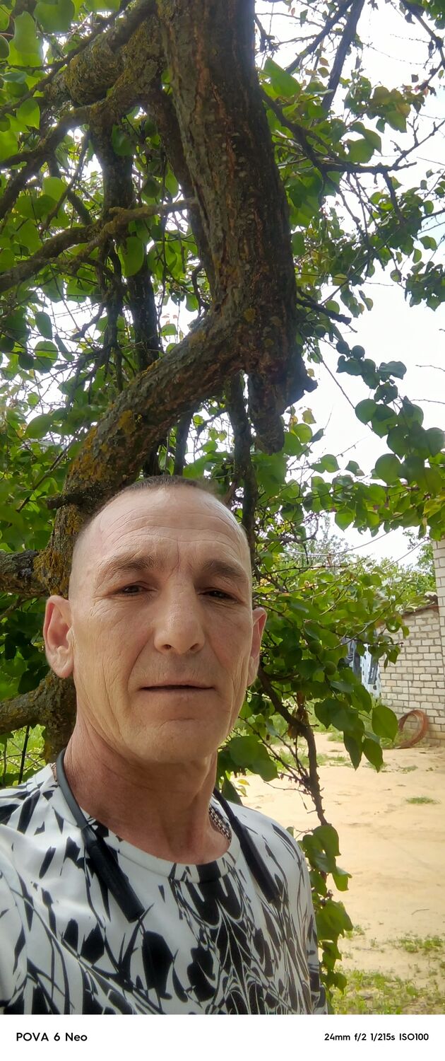  51688006  , 46 ,    --