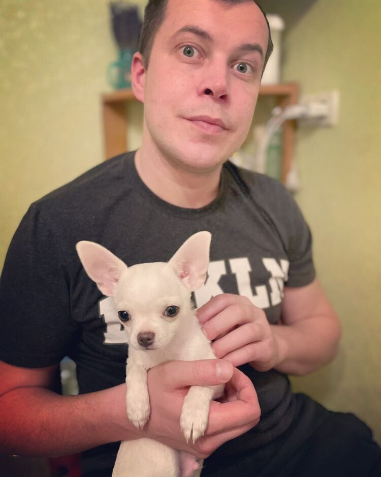 ���������� �������, ���� ������� ������, 36 ���, ������������ ��� ������, ����� � ���������, c�������� ���������