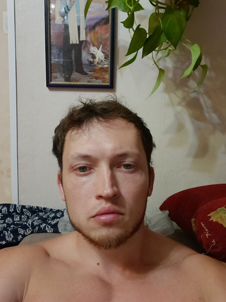 ���������� ��������, ���� ������� ����������, 33 ����, ������������ ��� ������, ����� � ���������