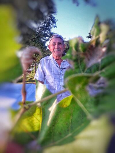 ,   , 65 ,   