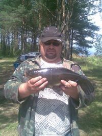  ,   , 51 ,   