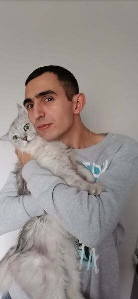  ,   , 29 ,   ,   