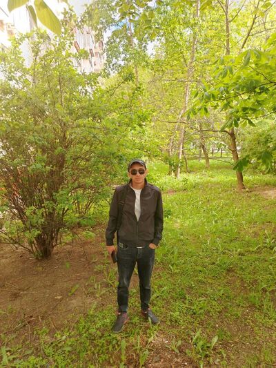 ,   , 33 ,   ,   