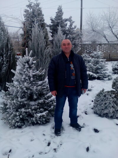  ,   , 53 ,   