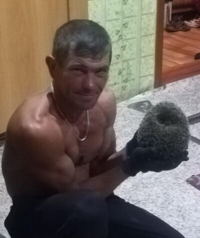  --,   , 43 ,   ,   