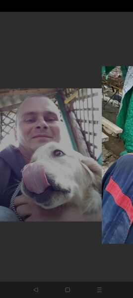  ,   Maksim, 39 ,   ,   , c 