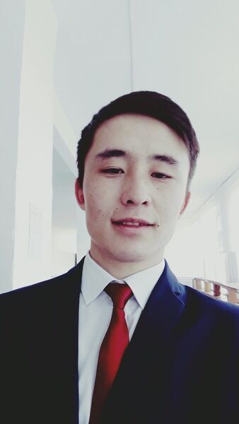  ,   Beko, 29 ,   ,   , c 