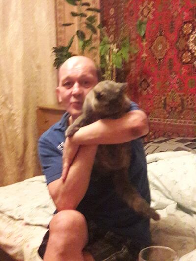  ,   , 58 ,   